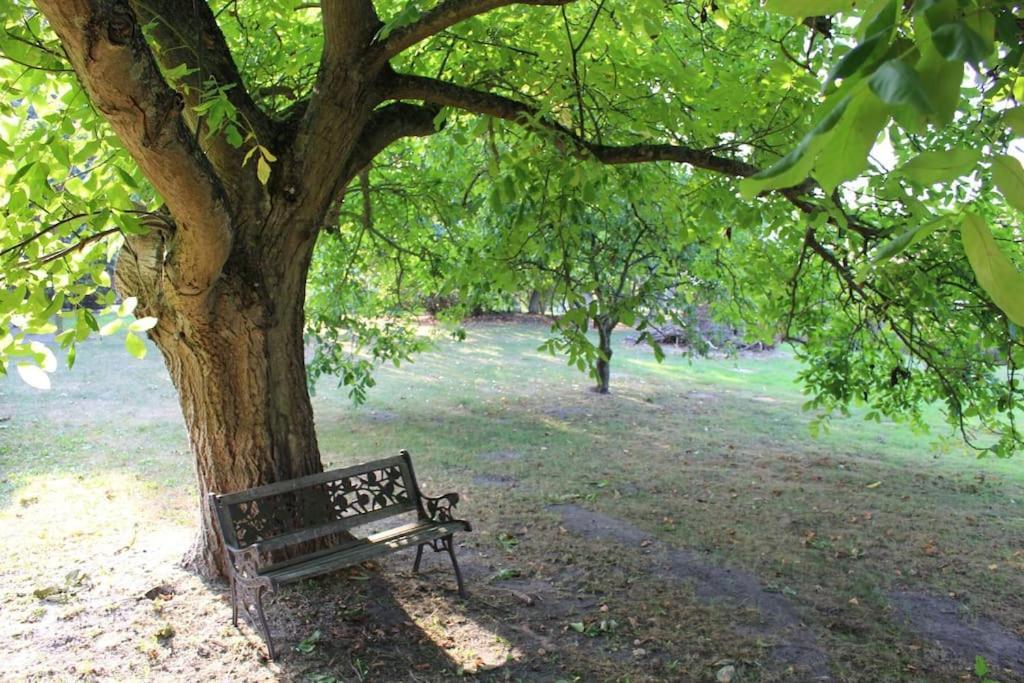 Romantische Ferienwohnung Unter Den Linden Buchholz  Экстерьер фото